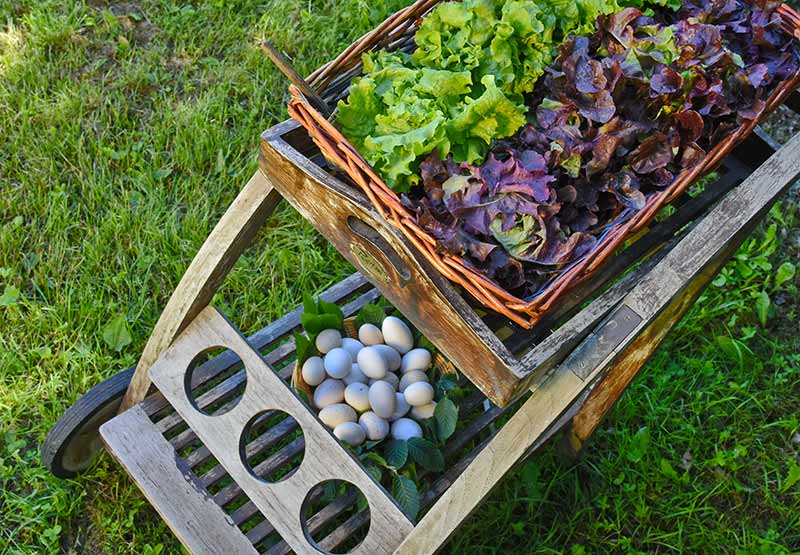 I prodotti dell'azienda agricola