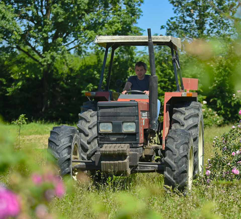 azienda agricola La Forestina